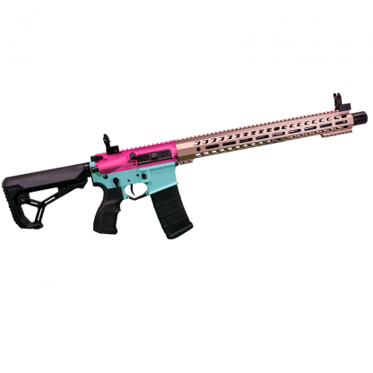 TSS CUSTOM AR-15 Rifle  limited edition DOD "Day of the Dead"
